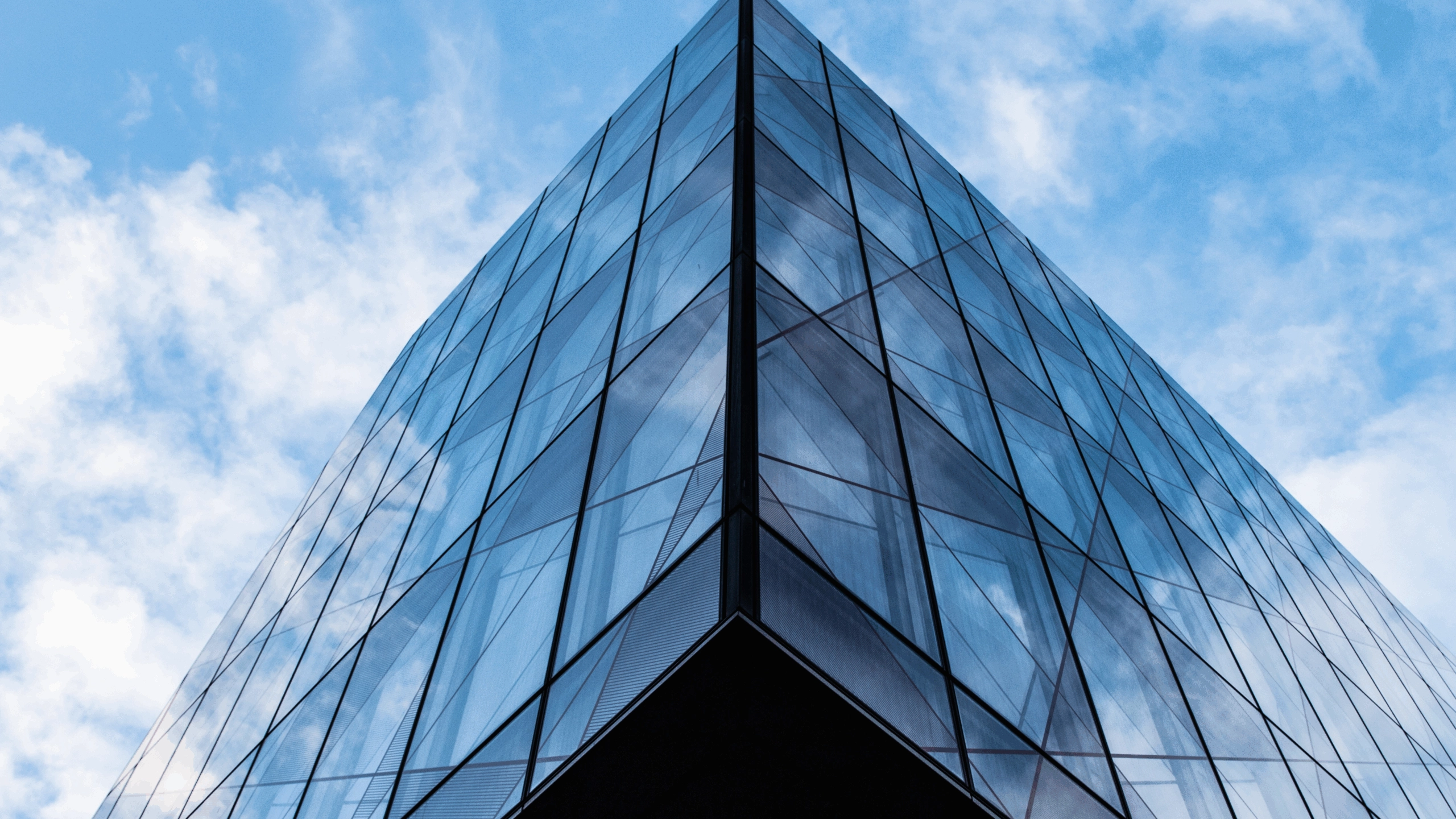 285b98a7-002f-4636-bb78-f7275e41000f-2